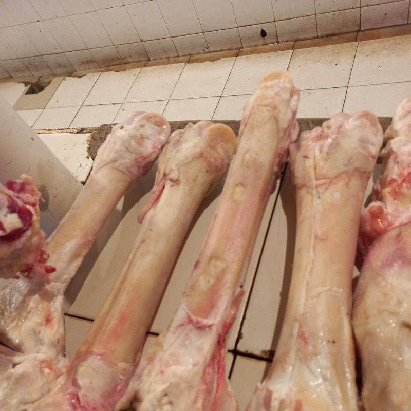 

tulang sumsum kaki sapi