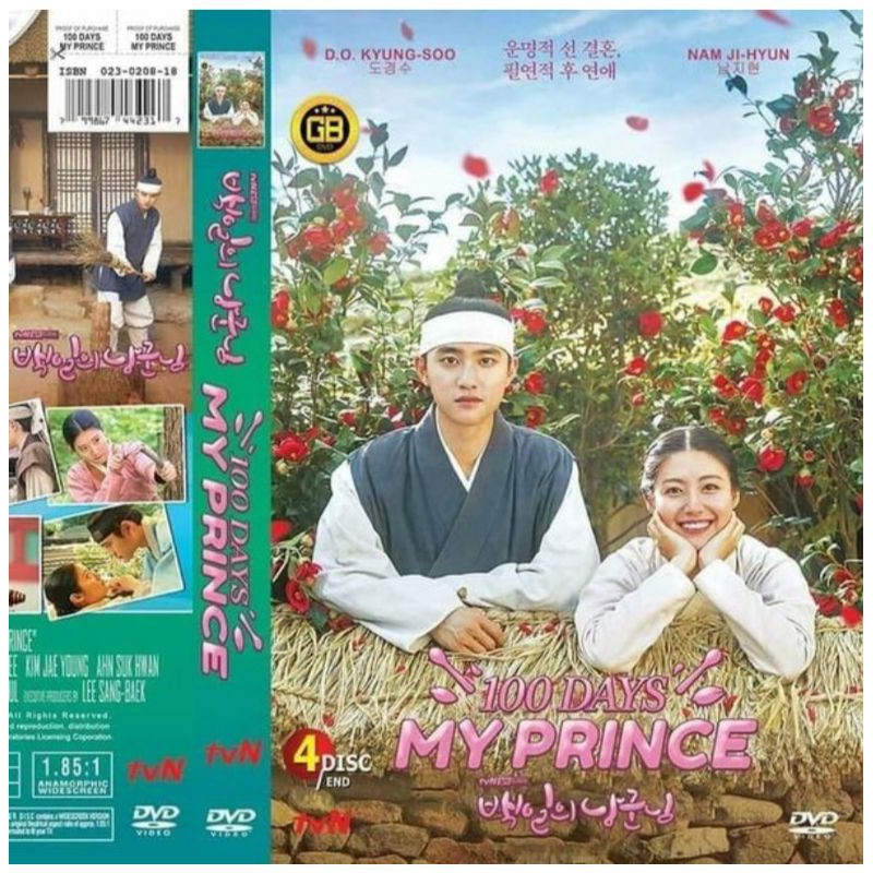 Kaset Video Film 100 days my prince (4Disc/End)
