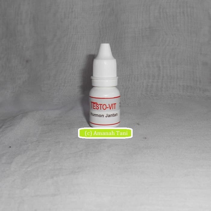 Testovit Hormon Burung Jantan Vb2 610 Shopee Indonesia