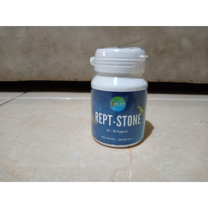 Rept Stone - obat bladder stone (BS) kura kura / reptile