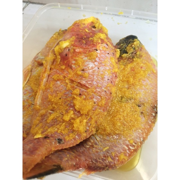 

IKAN NILA BUMBU KUNING SIAP GORENG