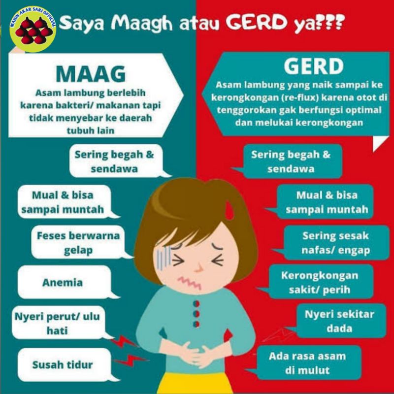 Majun Akar Sari Obat Herbal Asam Lambung Maag magh Ampuh Gerd Akut Kronis Tukak Lambung Obat Maag Cina Jamu Maag Lambung Perut Kembung Begah Pencernaan Nyeri Otot Kesemutan Kebas Kebas Kram Kaki Pegal Linu Rematik Asam Urat Penambah Setamina-4