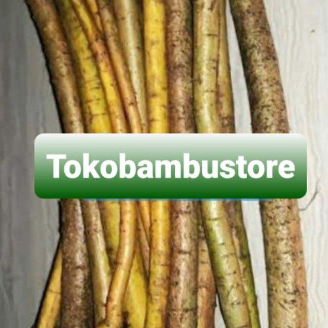 

Hemat 250 gram akar tuba segar alami-az