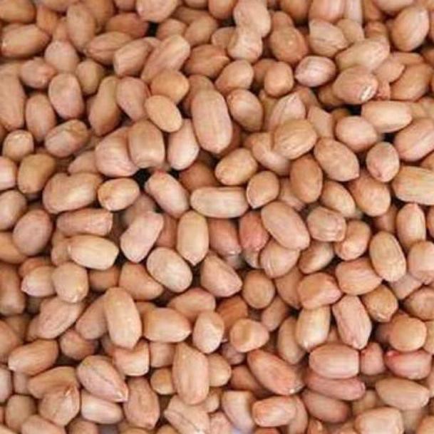 

S3dang diskonKacang Tanah TUBAN ASLI Kualitas Super |Dis kon|,.,...!