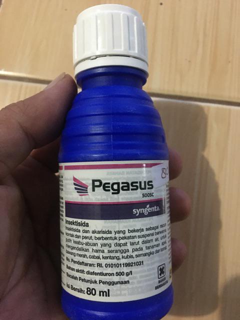 Insektisida Pegasus 500sc 80ml