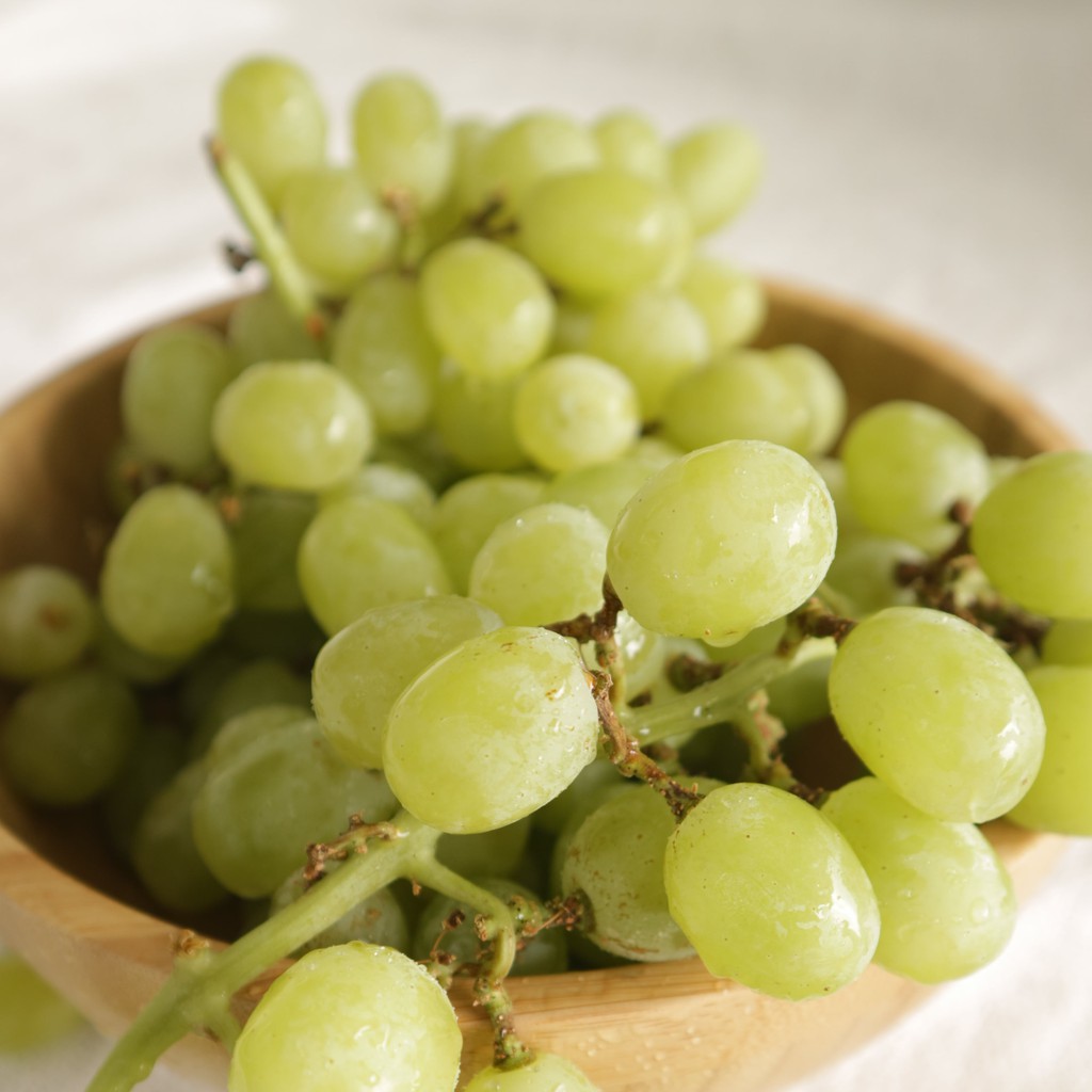 

Belidikita Anggur Green Columbine 1 kg Jakarta