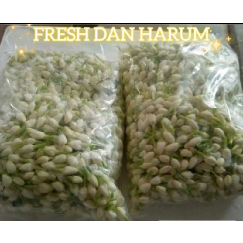 bunga melati segar 2000 gram flower jasmine original fresh