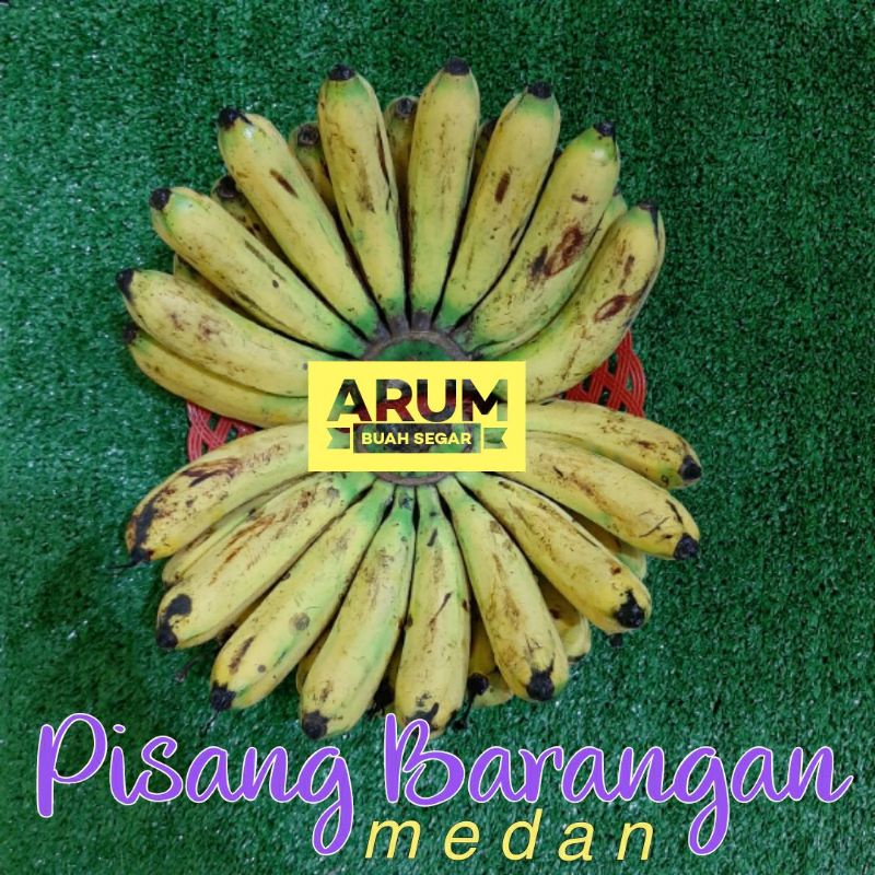 

Pisang Barangan Medan 1sisir