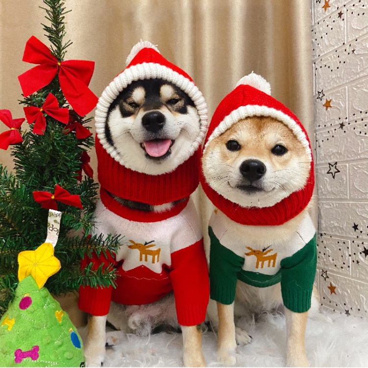 ★〓YUFeiPet〓★ Christmas Pet Hat Funny Christmas Hat Pet Ears and Neck Warmer Cover Photo Props Suitable for Cats and Dogs