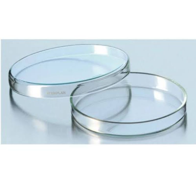 petri dish / Cawan Petri