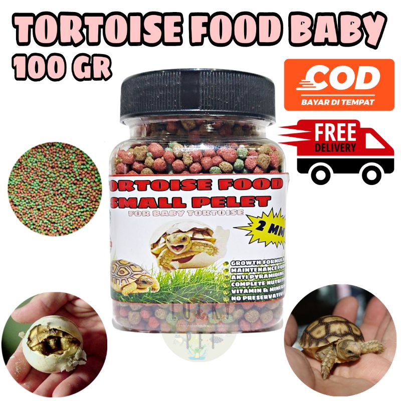 MAKANAN KURA KURA DARAT BABY ANAK ANAKAN SULCATA SULKATA TORTO BABY PELET PELLET 100gr
