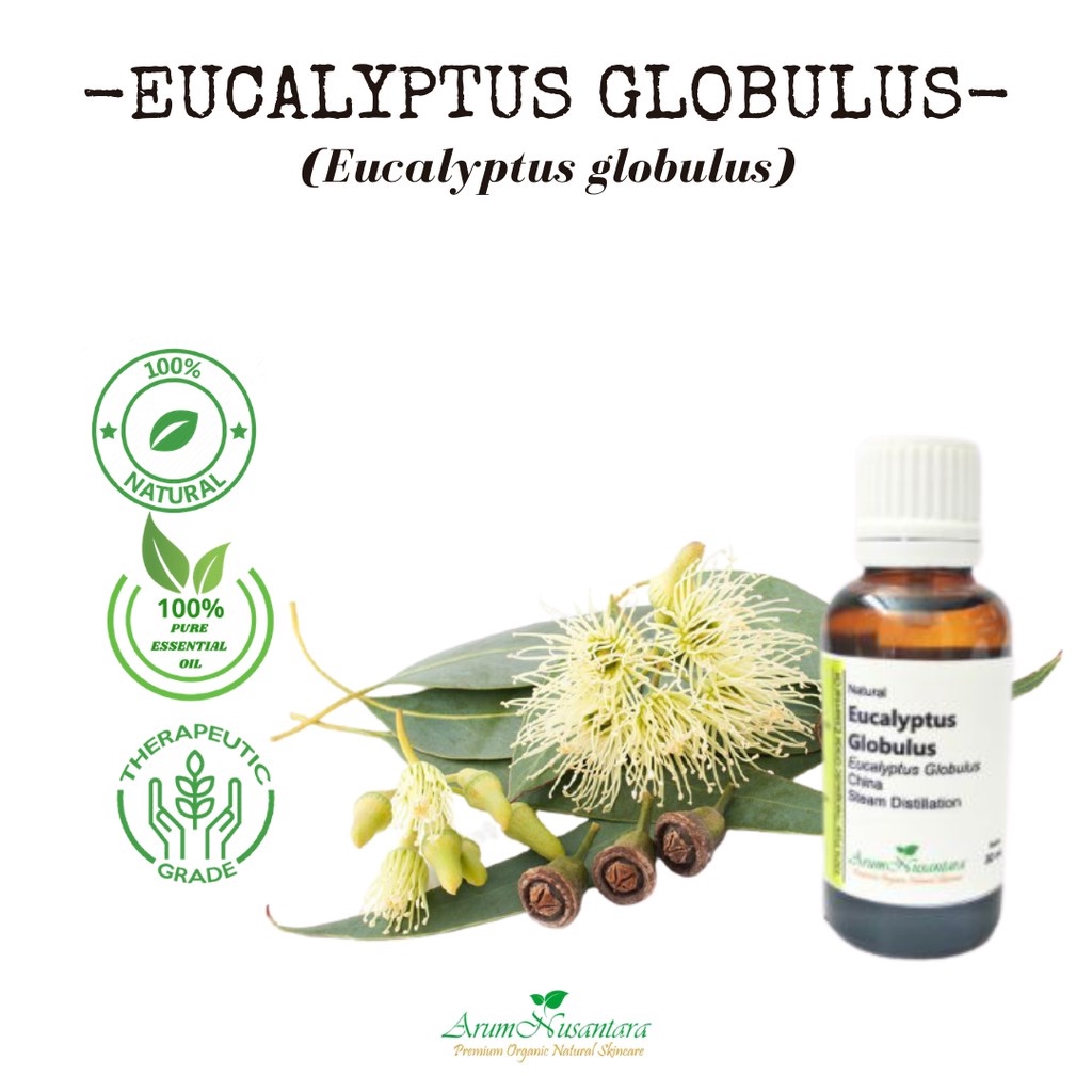 Jual Eucalyptus Globulus Essential Oil 100 Pure Shopee Indonesia 1577