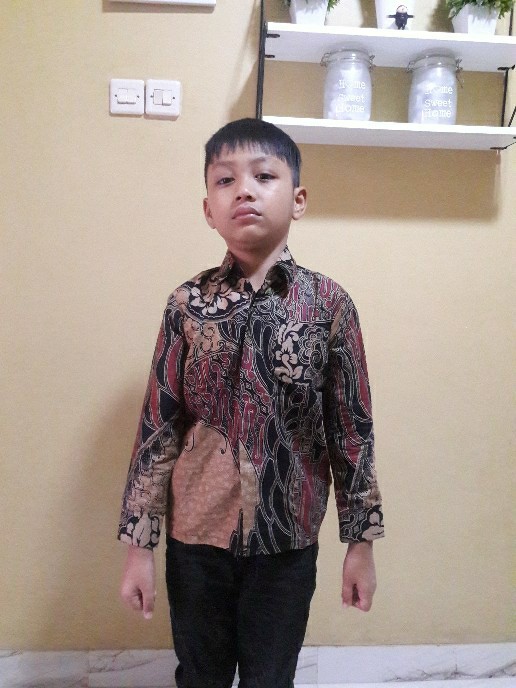 Baju Batik Anak Laki-laki Lengan Panjang Bisa Buat Seragam Sekolah Hari Batik - Harga Grosiran Murah