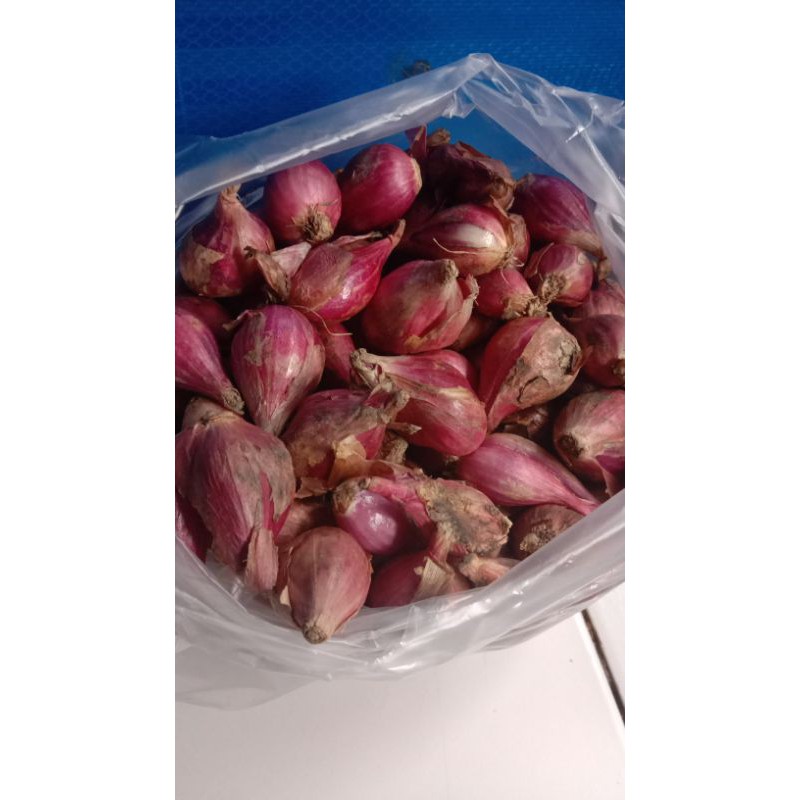 

bawang merah