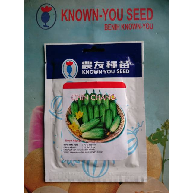 Benih Bibit Timun Baby CHIN CHANG 20gr