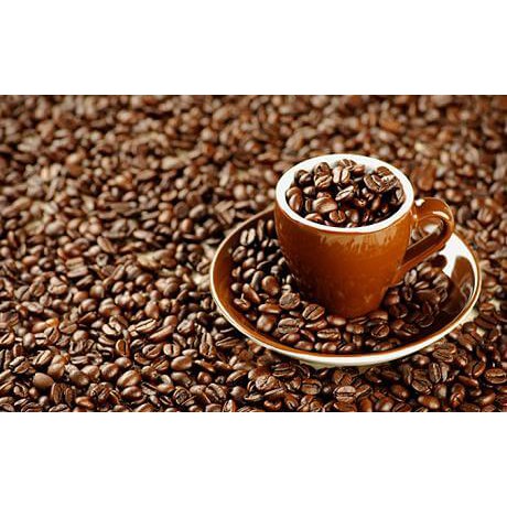 

Kopi Luwak Berkualitas