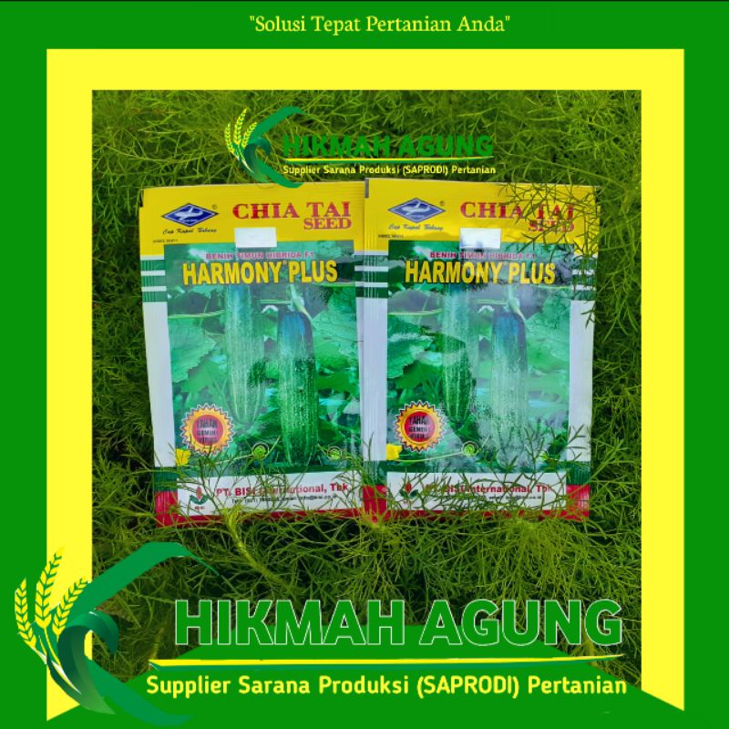 

Benih Timun Harmony Plus 20 gram Barang TERBARUUUUU!!!