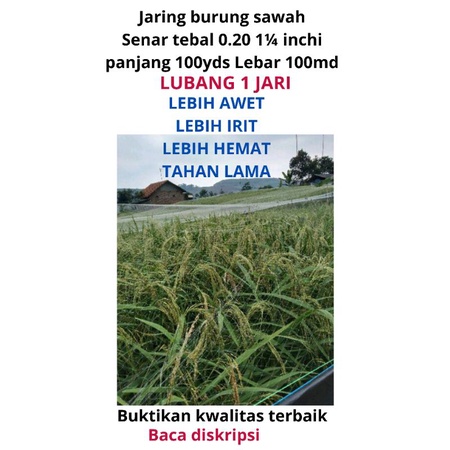 Jaring burung pipit sawah senar tebal 0.20 lubang 1 jari jaring burung kecil jaring burung padi jari