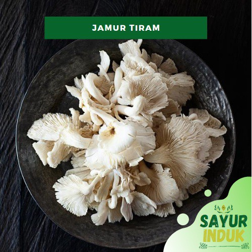 

Sayur Induk - Jamur Tiram 250 Gram Fresh Grade A Pleurotus Ostreatus