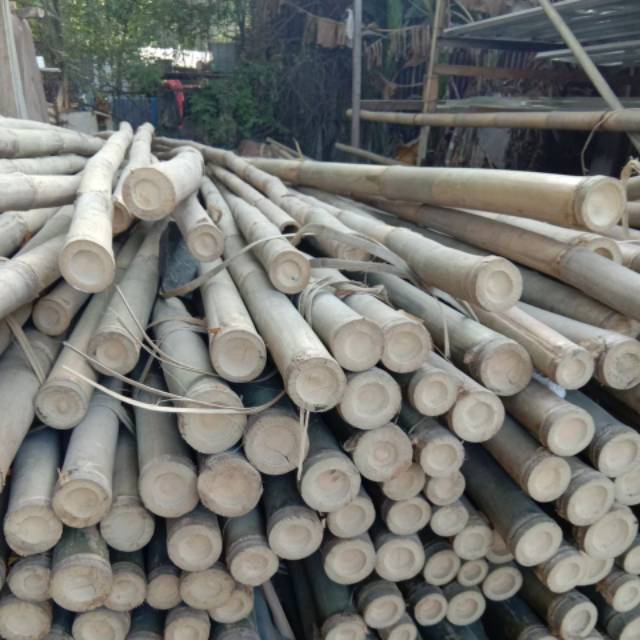 Jual Kayu Bambu 6meter 50batang | Shopee Indonesia