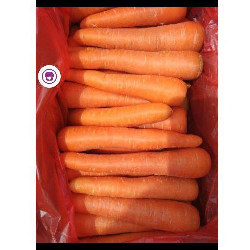 

wortel brastagi 1000gr