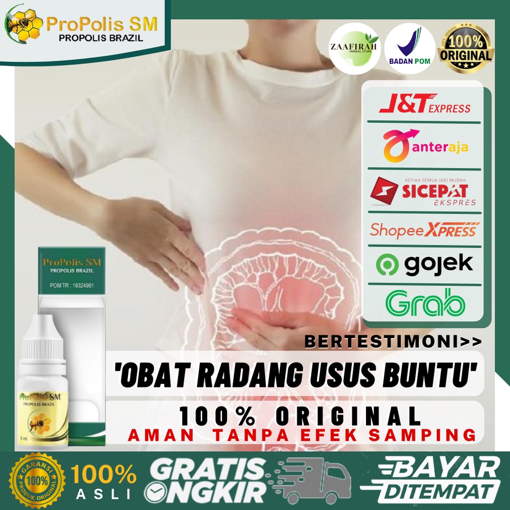 Obat Radang Usus Buntu - Obat Herbal Radang Usus - Obat Usus Buntu - Obat Radang Usus Besar - Obat R
