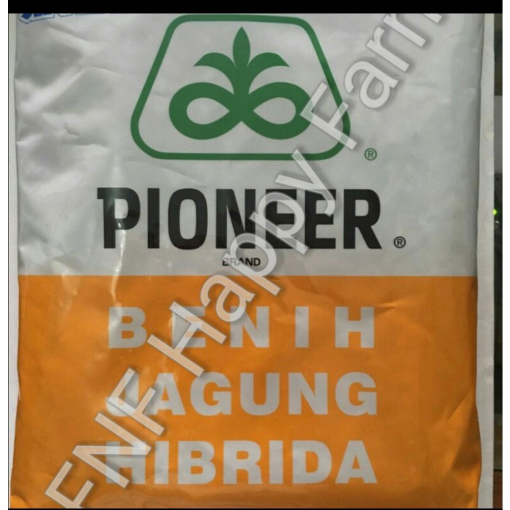 Bibit Jagung Pioneer P32 Singa 1kg