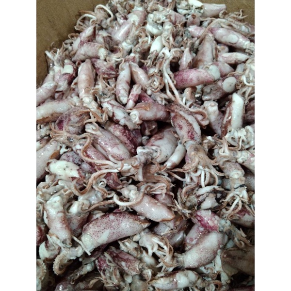 

ikan asin sotong 250 grm