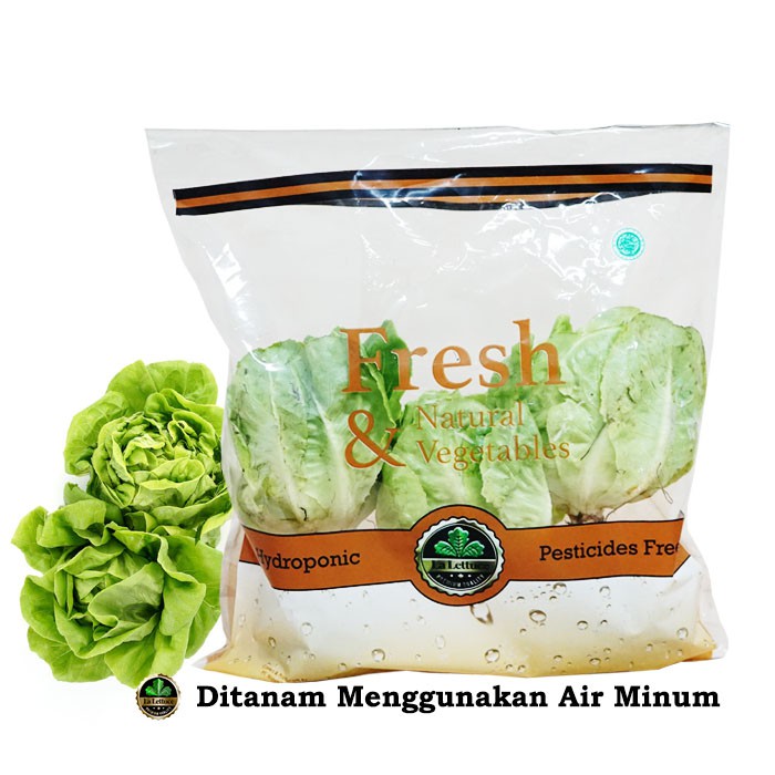 

Sayur Hidroponik Butterhead 250 gr/Sayuran Sehat Siap Olah