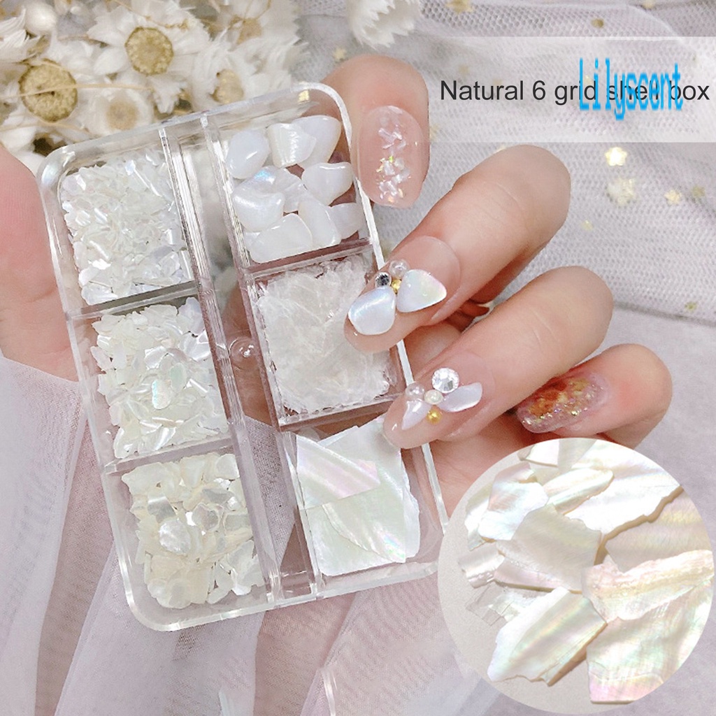 Lily 1 Kotak Payet Abalone Asimetris Warna-Warni Untuk Dekorasi Nail Art 3D