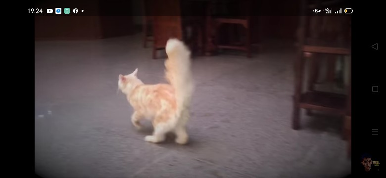 Toples Sambal 200ml / Toples Bumbu (bulat)