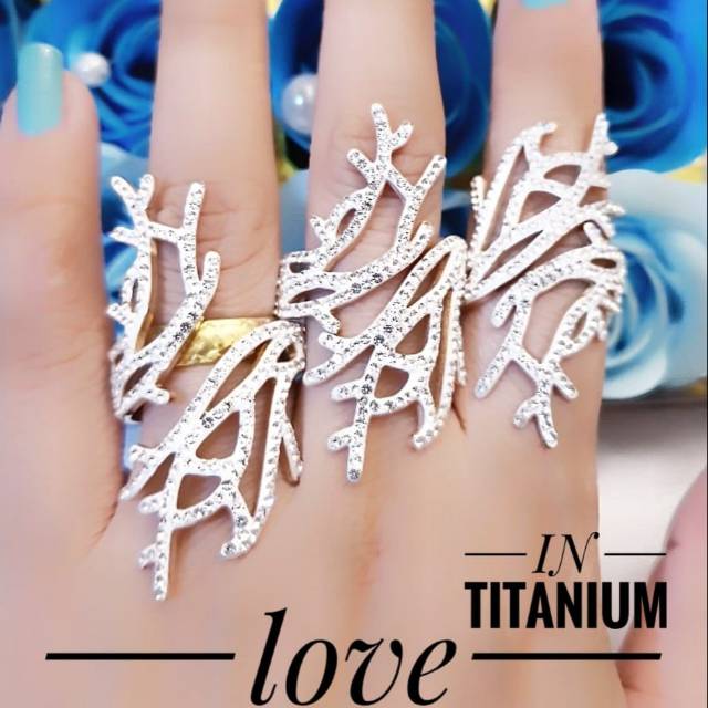 Titanium cincin 1533k