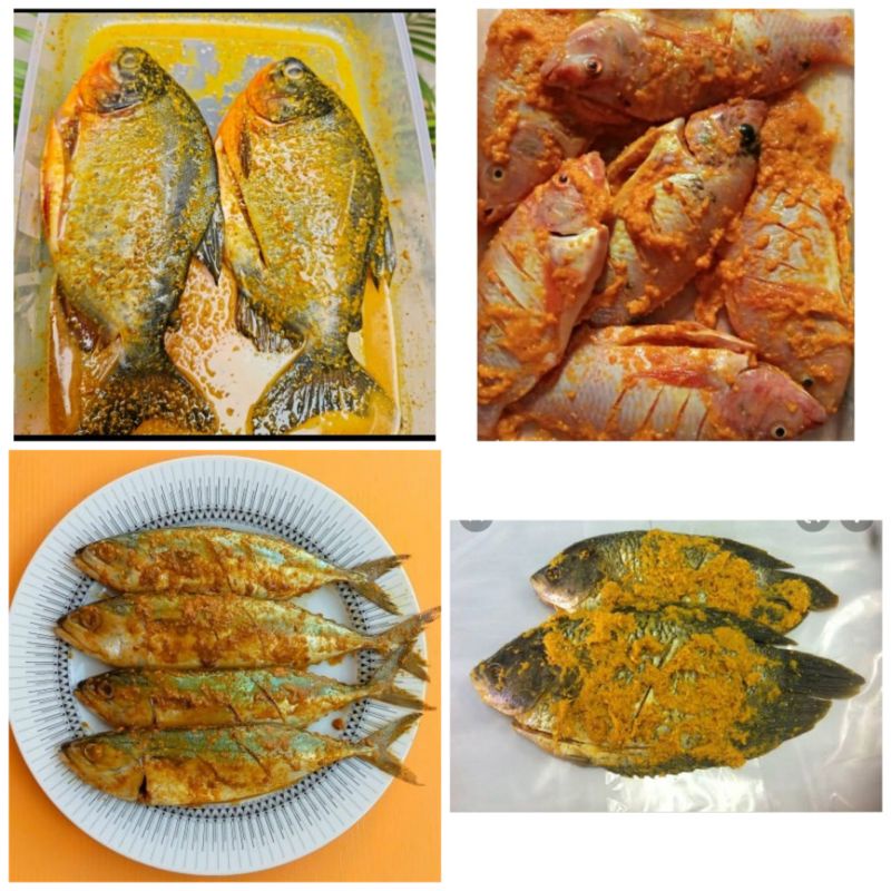 

marinasi bumbu kuning ikan lele/patin/nila/mujaer/gurame/bawal tawar/bawal laut/kembung/mas/gabus/belut