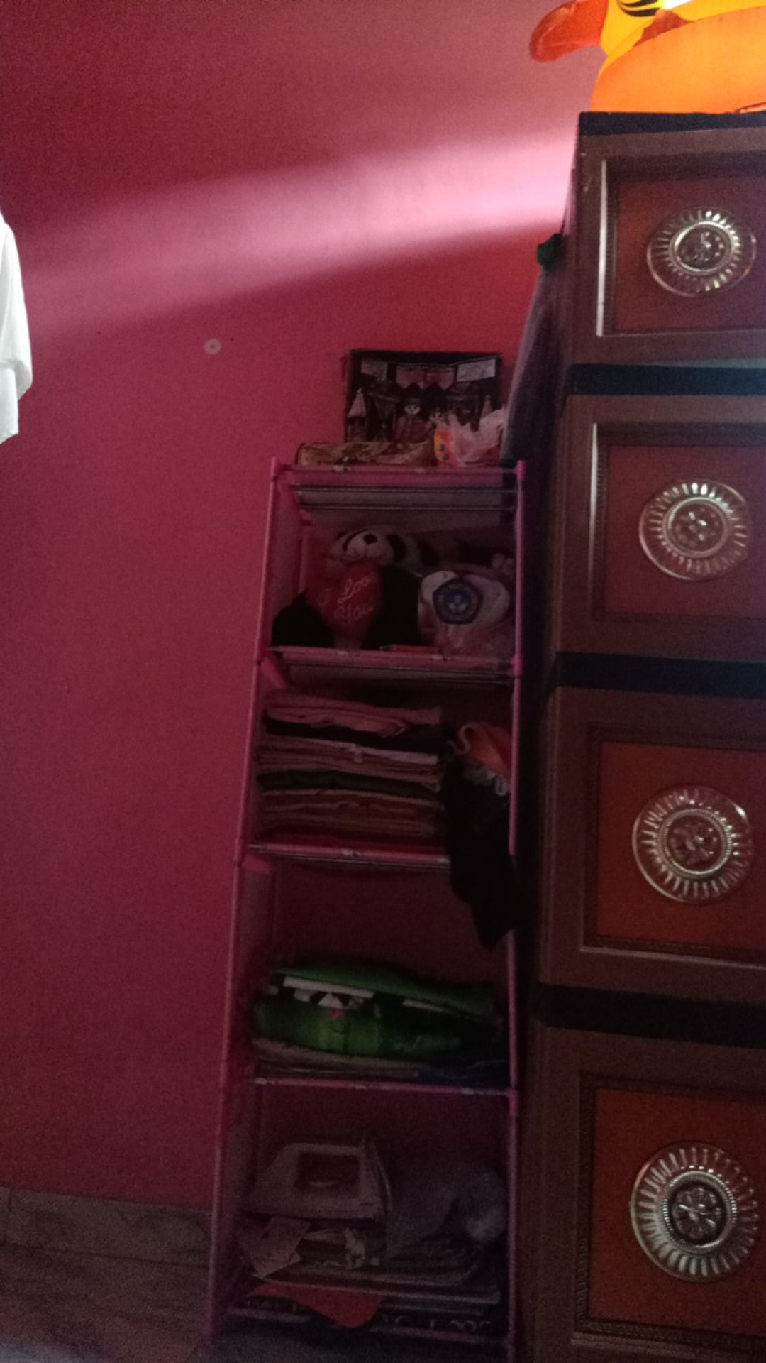 Benih / Bibit Pare / Paria Hibrida Asoka