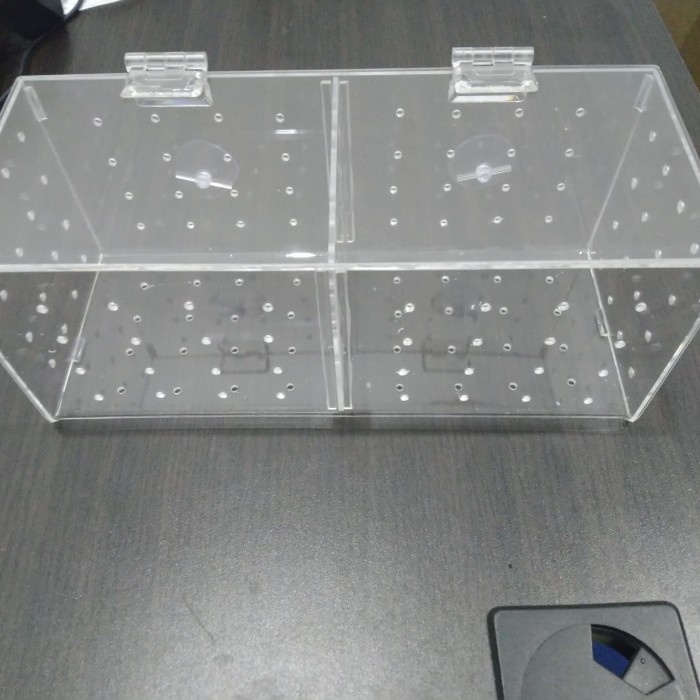 NEW Box karantina ikan