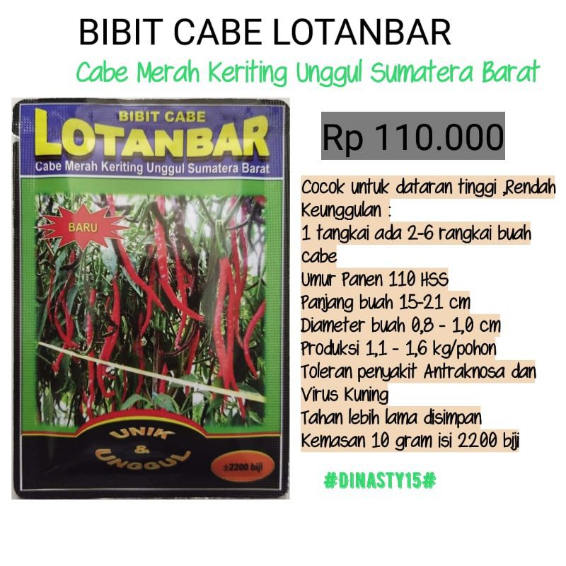 Benih Cabe Merah Keriting Unggul Bibit Cabe Keriting Benih Cabe Keriting Bibit Cabai Merah Keriting 