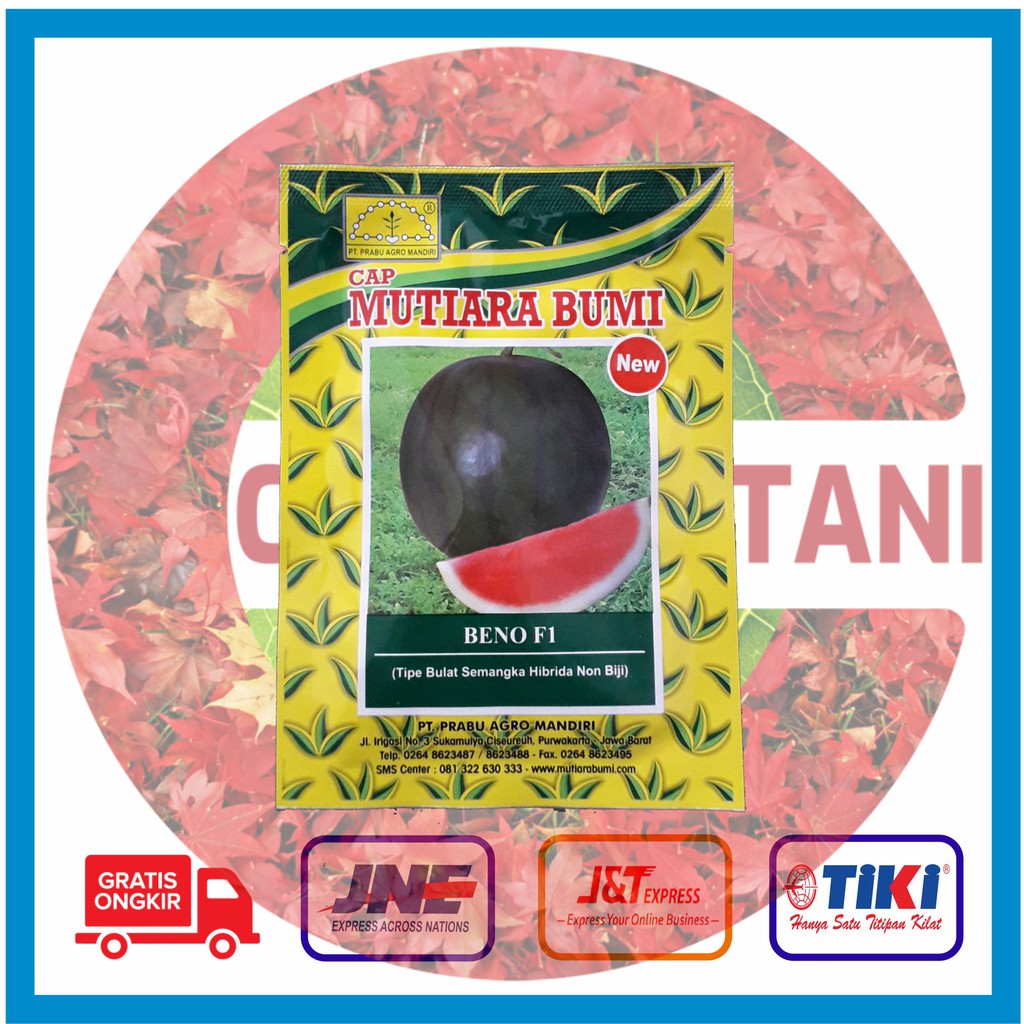 Benih Semangka Non Biji Bulat Merah Beno F1 @ 300 butir