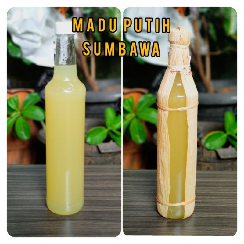 Madu Hutan Putih Sumbawa 100 Asli 630grm Masker Wajah Madu Putih Indonesia