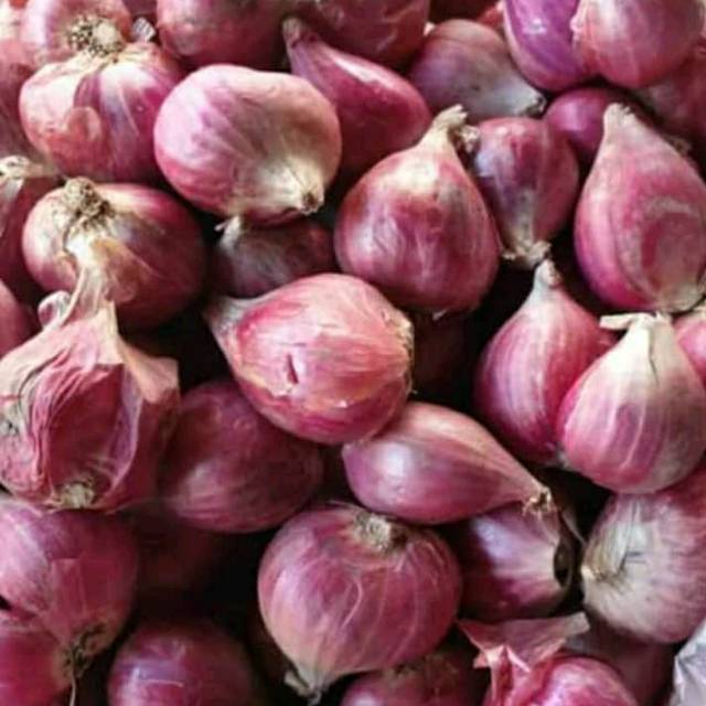 

Bawang merah khas Brebesan (ukuran besar 1 kg)