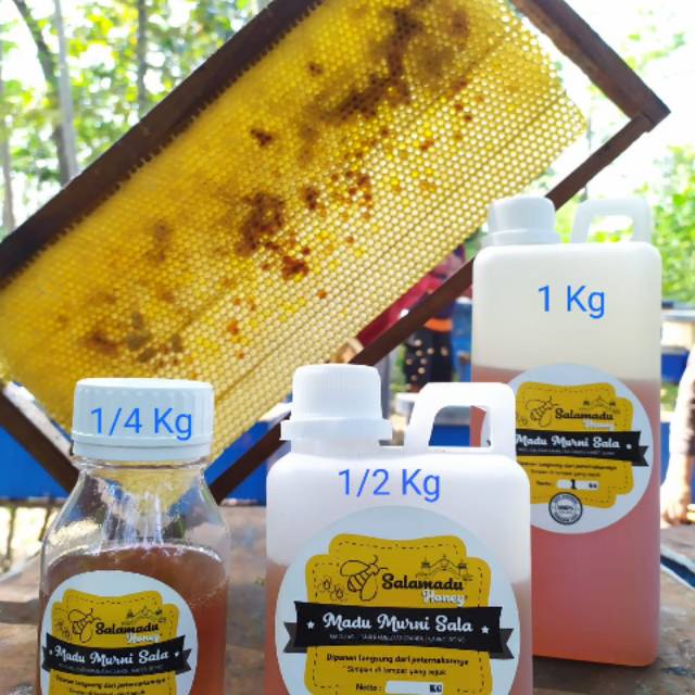 

Madu Murni / raw honey 500gr