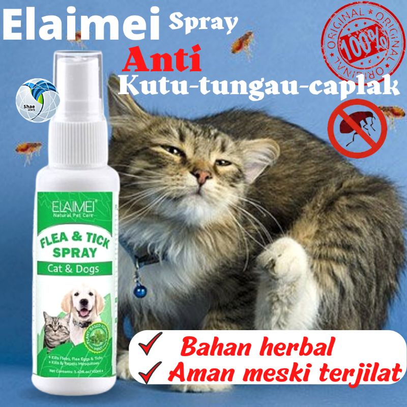 Obat Kutu Kucing Anjing Semprot Spray Ampuh Herbal Aman Terjilat