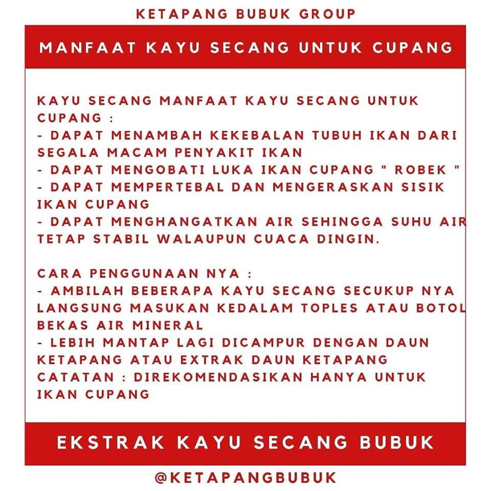 kayu secang serut kering kaya manfaat (cupang,chana)