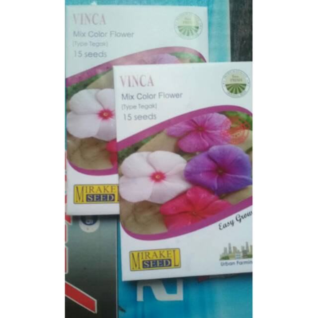 Vinca mix color miracle seed