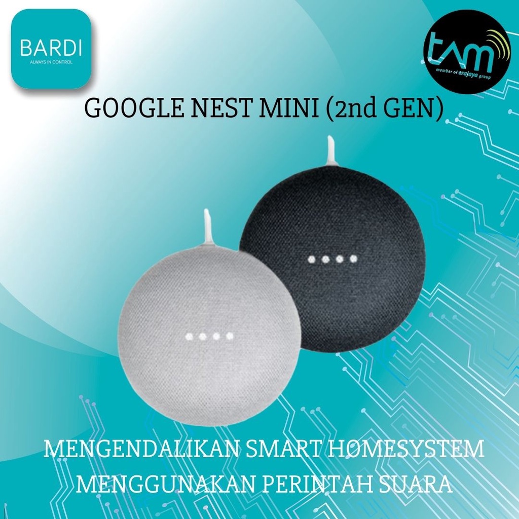 Google Nest Mini TAM Version
