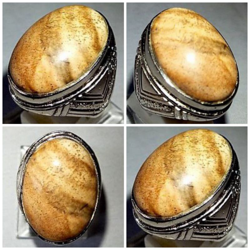 cincin batu akik fosil kayu aren (248)