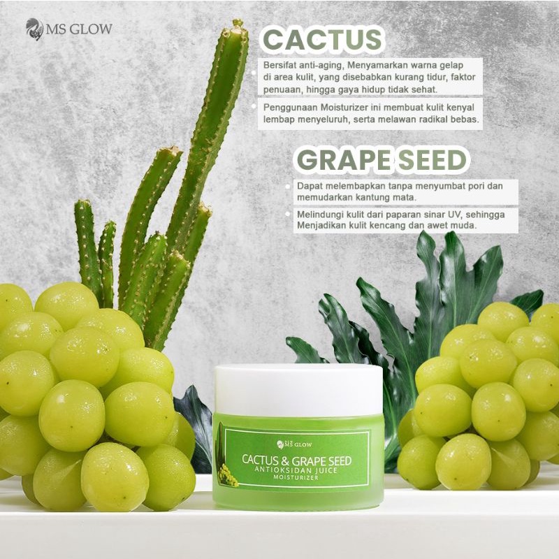 Cactus Moisturizer Ms Glow