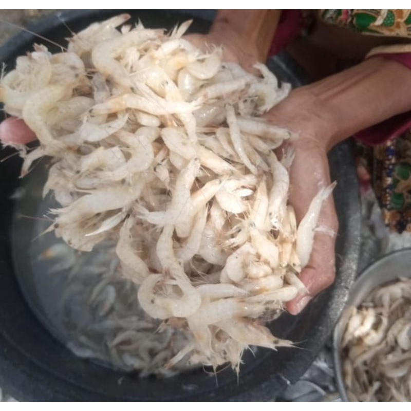 

UDANG KECIL / UDANG CRISPY MURAH