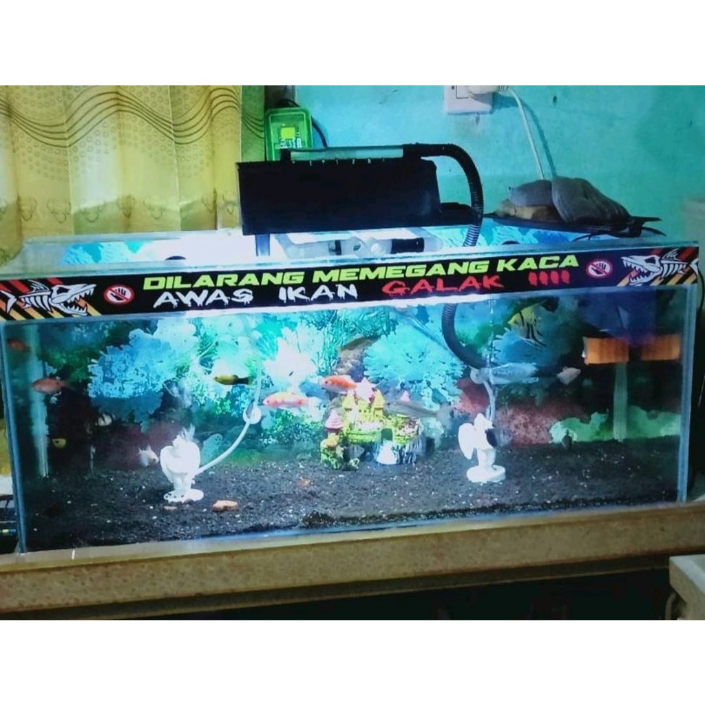 Sticker Aquarium Channa yellow Sentarum Area  | Bukan Adu Gengsi | Memandangku Gratis | Channa Lovers | Dilarang Pegang kaca | Ikan Galak | Predator Fish Area | Termurah