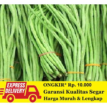 

Kacang Panjang Segar 500 gram
