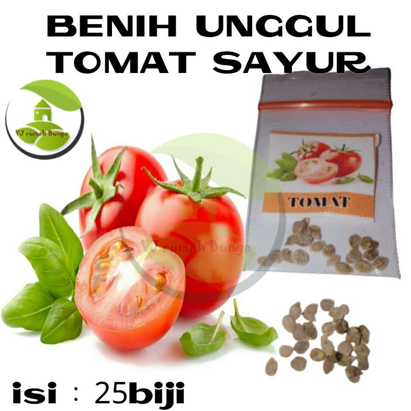 25 Biji - Benih Tomat Unggul Benih Tomat Sayur Tomat Daging Buah Tebal